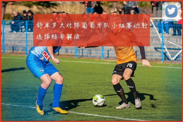 舒库罗夫对阵葡萄牙队小组赛远射选择赔率解读