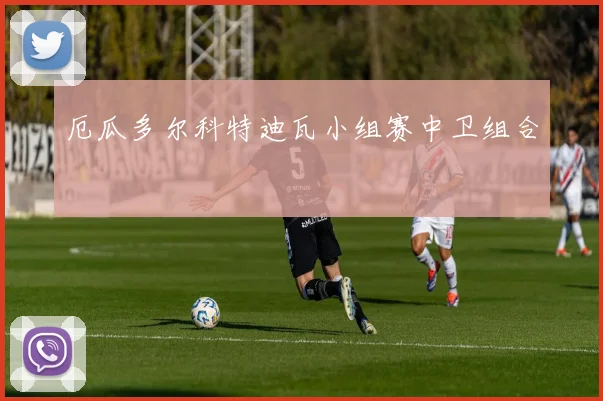 厄瓜多尔科特迪瓦小组赛中卫组合