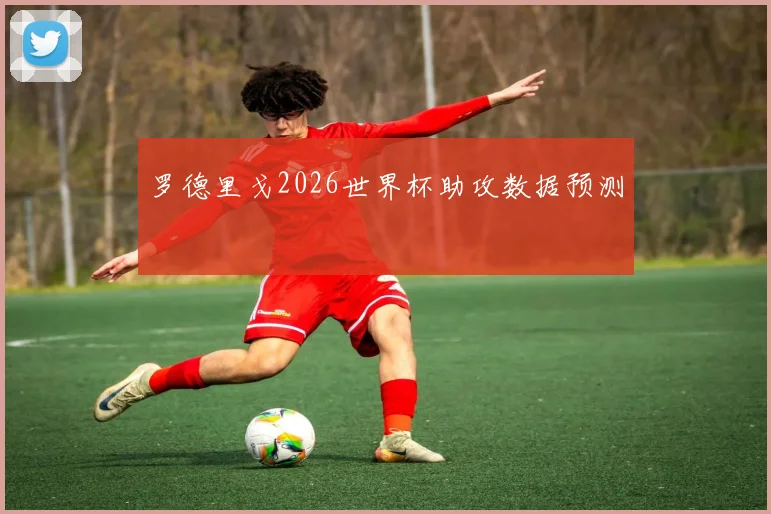 罗德里戈2026世界杯助攻数据预测