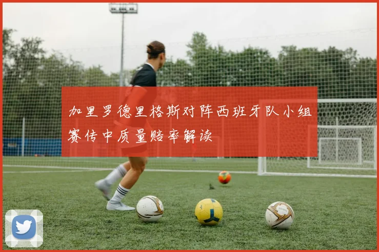 加里罗德里格斯对阵西班牙队小组赛传中质量赔率解读