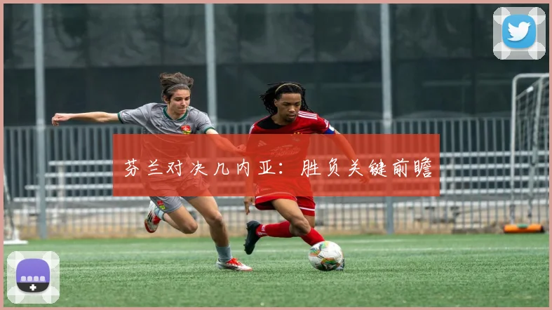 芬兰对决几内亚：胜负关键前瞻