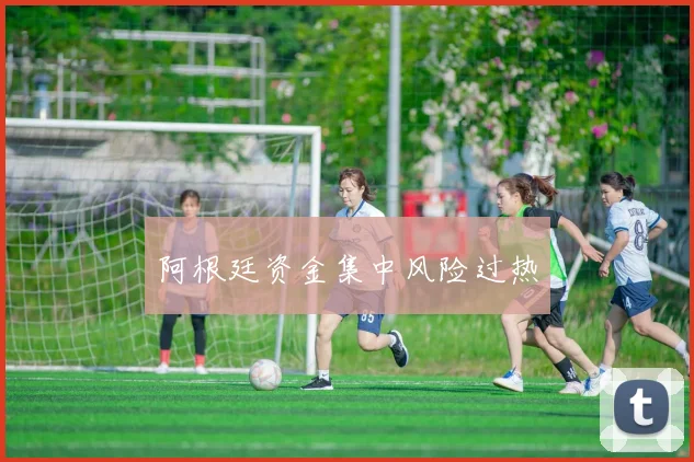 阿根廷资金集中风险过热