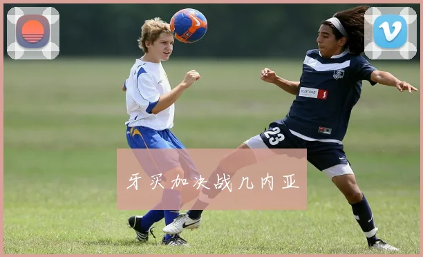 牙买加决战几内亚