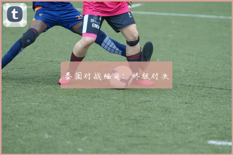 泰国对战缅甸：终极对决