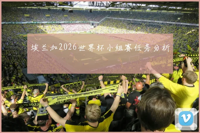 埃兰加2026世界杯小组赛任务分析