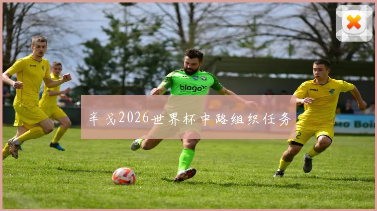 辛戈2026世界杯中路组织任务