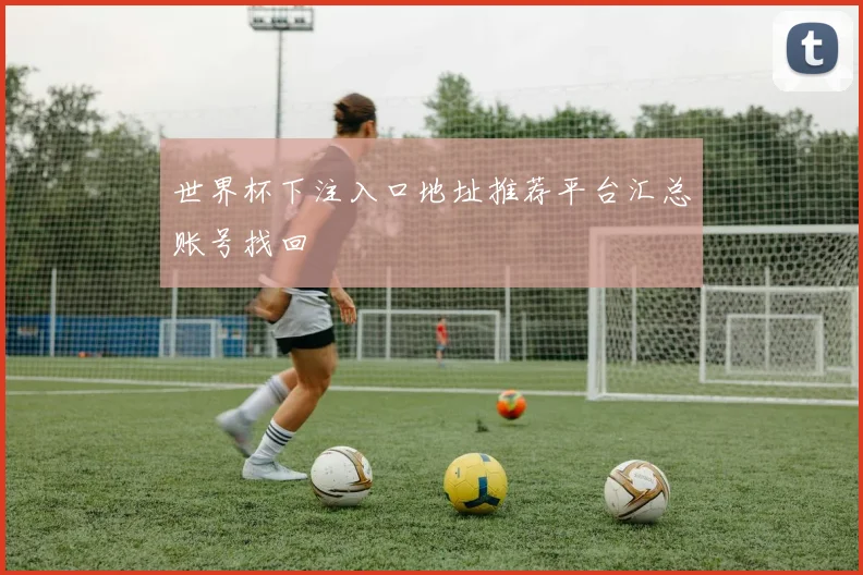 世界杯下注入口地址推荐平台汇总账号找回