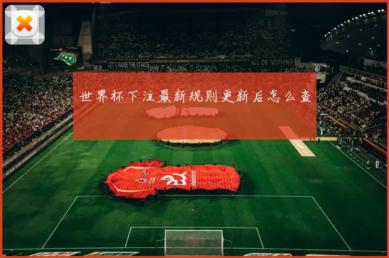 世界杯下注最新规则更新后怎么查