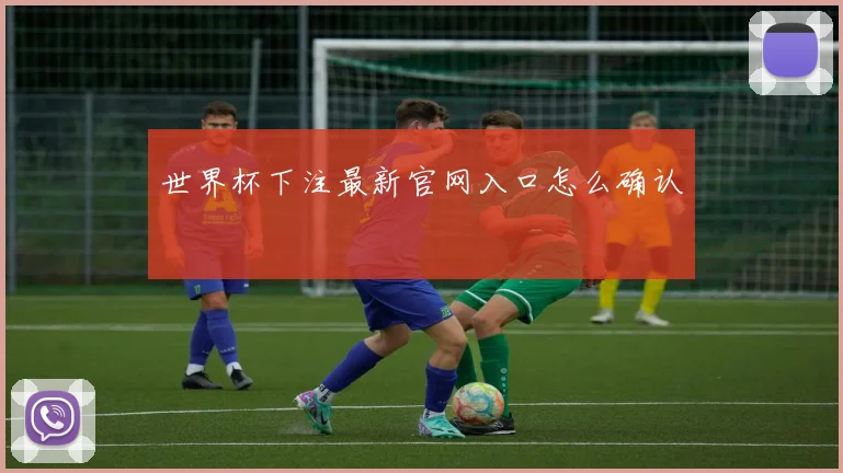 世界杯下注最新官网入口怎么确认