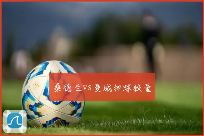 桑德兰vs曼城控球较量