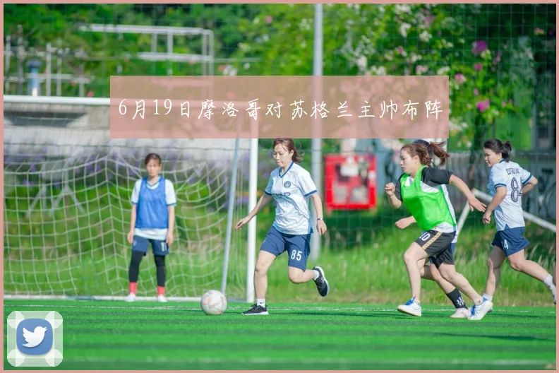 6月19日摩洛哥对苏格兰主帅布阵